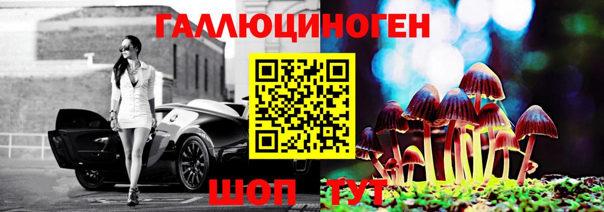 Псилоцибиновые грибы Cubensis Пугачёв